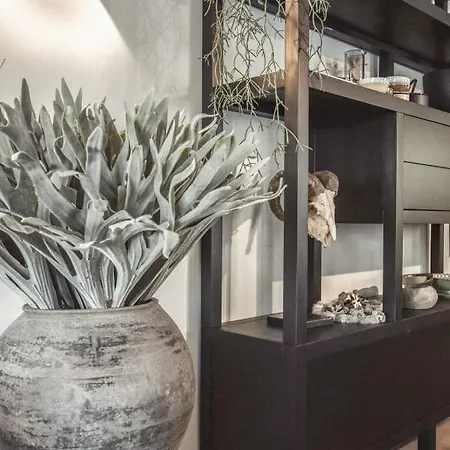 Hollandia 18 公寓 利德阿尔卑斯